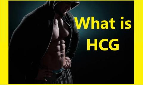 What is HCG?