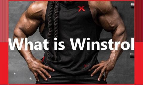 What is Winstrol?