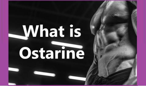 What is Ostarine?