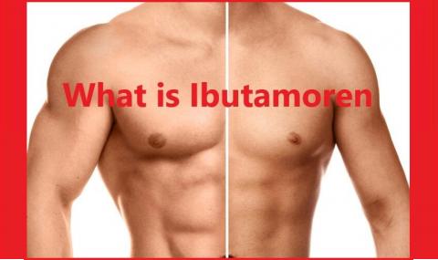 What is Ibutamoren?