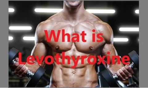 What is Levothyroxine?