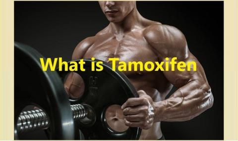 What is Tamoxifen?
