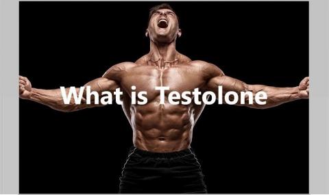 What is Testolone?