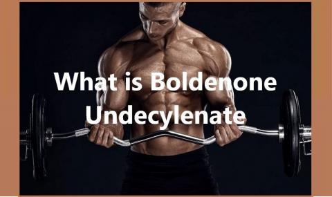 What is Boldenone Undecylenate?