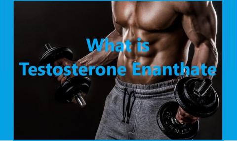 What is Testosterone Enanthate?