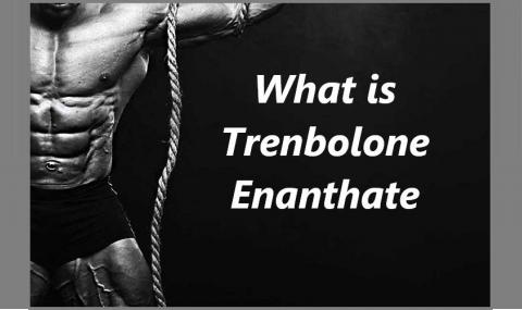What is Trenbolone Enanthate?