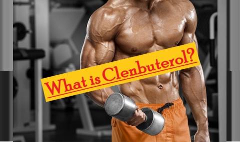 What is Clenbuterol – A Cutting Period Perfection
